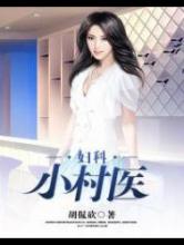 妇科小村医小说