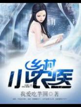 乡村小农医小说