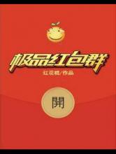 极品红包群小说