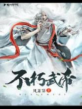 不朽武帝小说