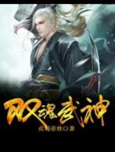 双魂武神小说
