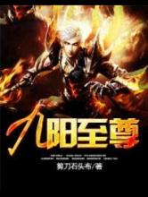 九阳至尊小说