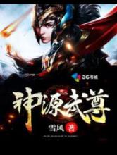 神源武尊小说