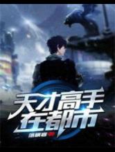 天才高手在都市小说