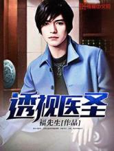 透视医圣小说