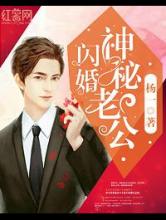 [杨一]闪婚神秘老公小说