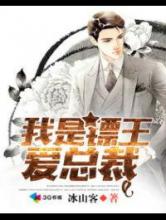 我是镖王爱总裁小说