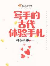 写手的古代体验手札小说