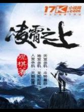 凌霄之上小说