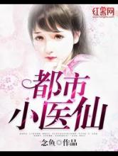 都市小医仙小说