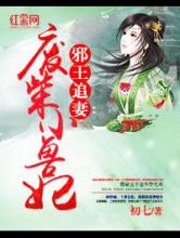 邪王追妻：废柴小兽妃小说