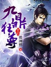九鼎狂尊小说