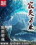 寂灭万乘小说