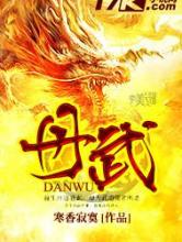 丹武小说