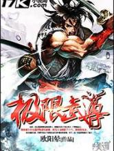 极限武尊小说