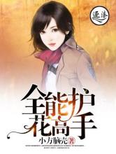 全能护花高手小说