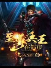 至尊兵王在都市小说