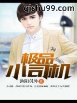  极品小司机小说