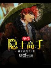 现代隐士高手小说
