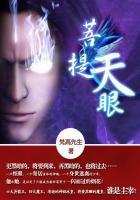 菩提天眼小说