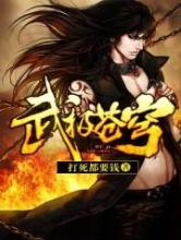 武极苍穹小说