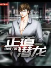 正道潜龙小说