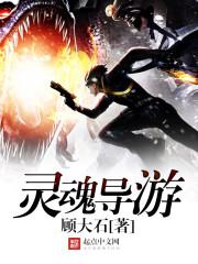 灵魂导游小说