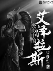 光影中的艾泽拉斯小说