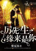 厉先生，缘来是你！小说