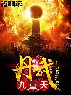 丹武九重天小说