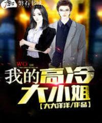 我的高冷大小姐小说
