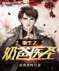 重生之奶爸医圣小说