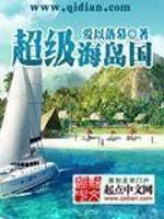 超级海岛国小说
