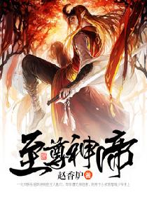 至尊神帝张浩然小说