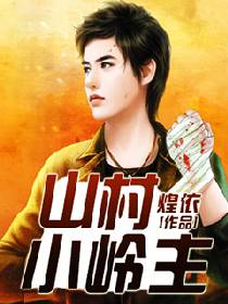 山村小岭主小说