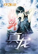 真龙小说