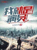 我就是演员小说