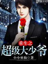重生之超级大少爷小说