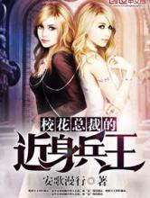 校花总裁的近身兵王小说