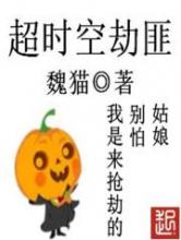 超时空劫匪小说