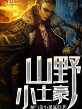 山野小土豪小说