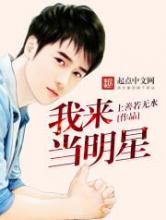 我来当明星小说