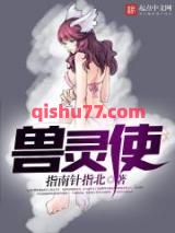 兽灵使小说