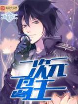 二次元岛主小说