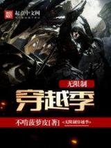 无限制穿越季小说