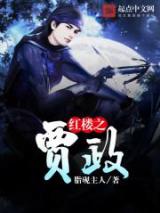 红楼之贾政小说