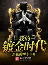 我的镀金时代小说
