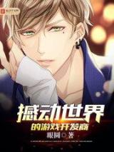 撼动世界的游戏开发商小说