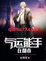 气运能手在都市小说