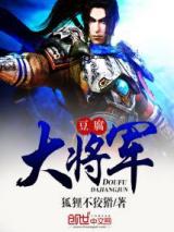 豆腐大将军小说
